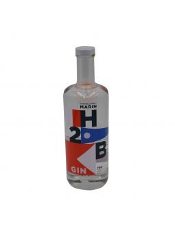 GIN H2B DISTILLERIE DU GOLFE 70cl - 40°vol