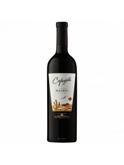 ARGENTINE - CAFAYATE SALTA BODEGA  AMALAYA TINTO  2021 - 14°vol - 75cl
