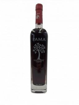 PAMA LIQUEUR DE FRUITS 17°vol - 70cl