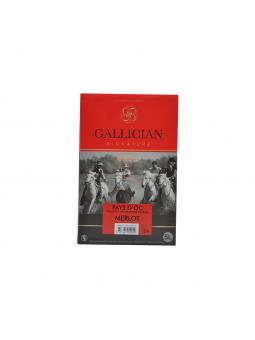 BIB 5L IGP Oc "MERLOT" GALLICIAN 13°vol