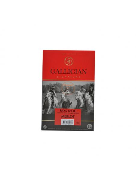 BIB 5L IGP Oc "MERLOT" GALLICIAN 13°vol