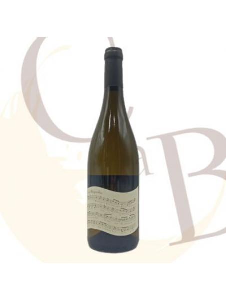 BERGERAC Blanc BIO "Contine Périgourdine" du Château Tour des Gendres 2022 - 14°vol - 75cl