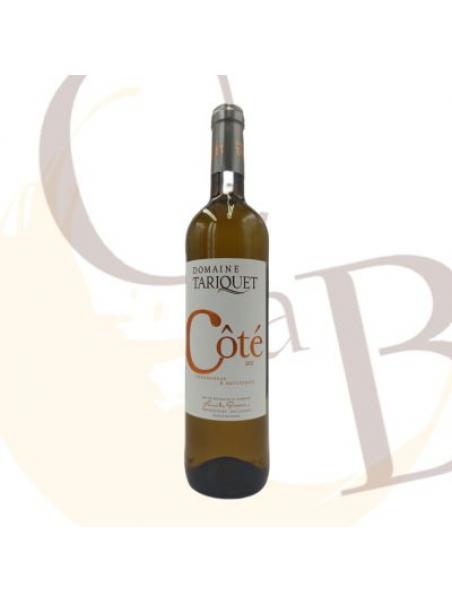 IGP Blanc GASCOGNE "Domaine du TARIQUET" COTE TARIQUET 2021 11°vol - 75cl